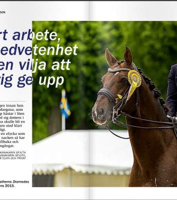 Image: 2016-08/1472559961_cheval-media-lina-andersson.jpg